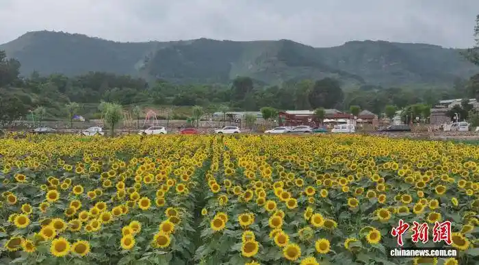 太行山深处的蝶变密码:山西和顺县天池村18年逆袭记——从深度贫困村到全国乡村旅游示范村